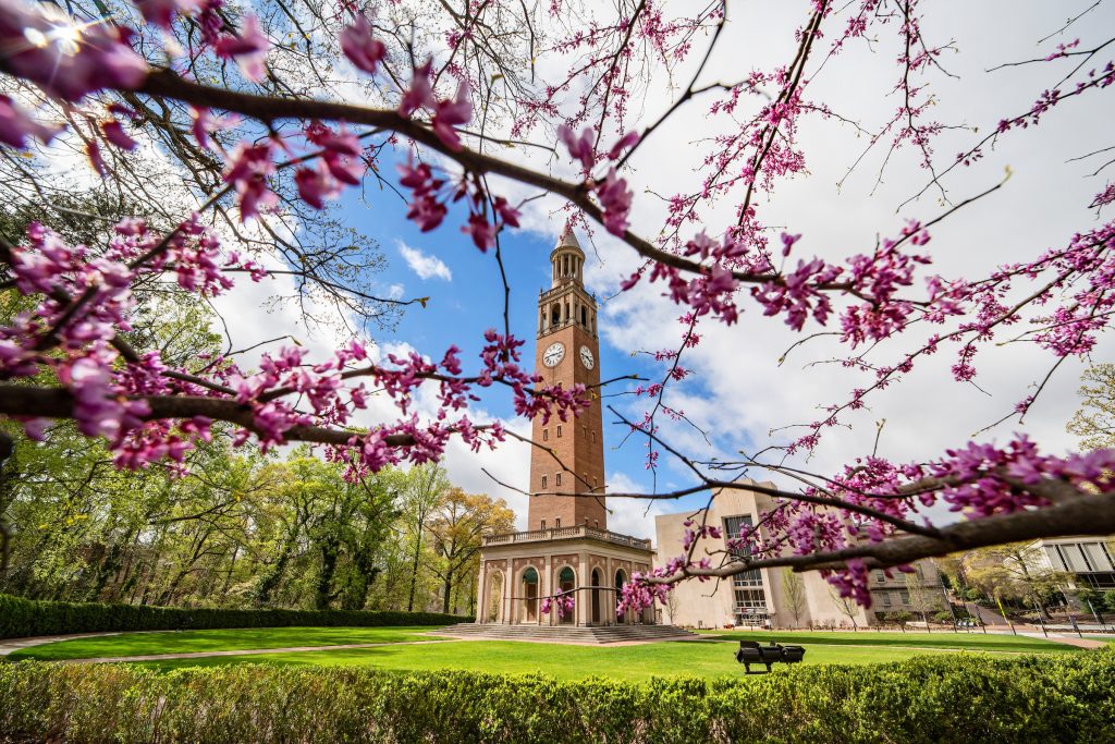Bell tower with spring flowers