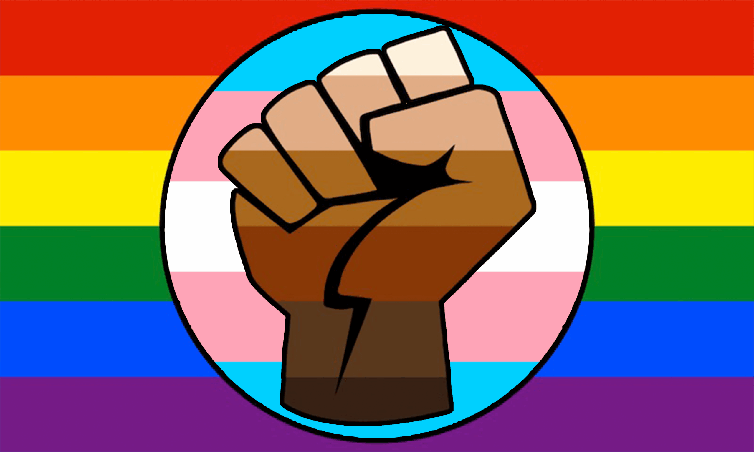 LGBT Trans Pride BLM Fist Flag